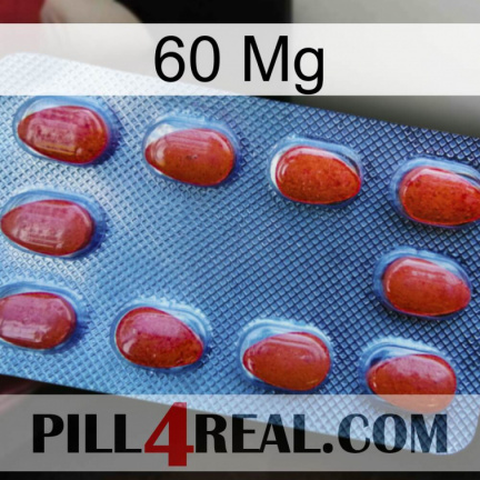 60 Mg 06